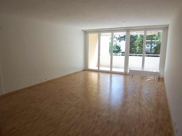 Gemütliche Wohnung mit Balkon 8200 Schaffhausen 8200 Schaffhausen