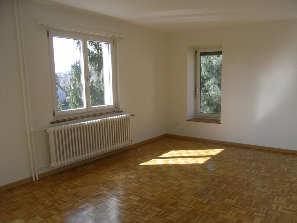 Sonnige Wohnung nahe Einkaufsmöglichkeiten 8207 Schaffhausen 8207 Schaffhausen